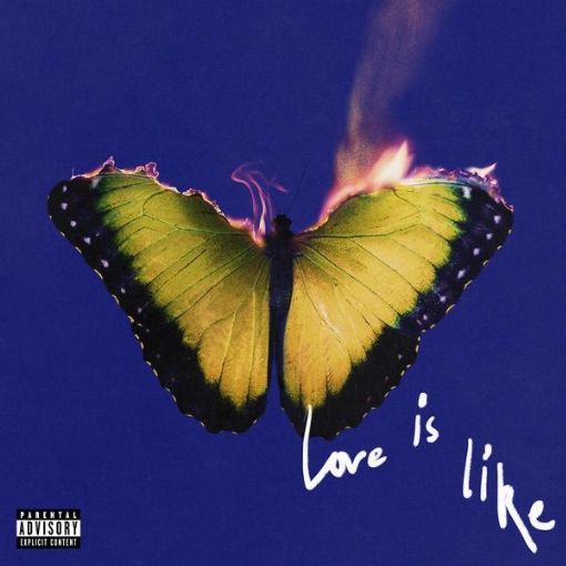 Love Is Like(Deluxe)