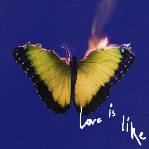 Love Is Like(Deluxe)
